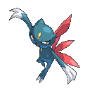 Archivo:Sneasel Conquest.png