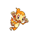 Chimchar Conquest.png