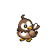 Imagen de Starly variocolor hembra en Pokémon Oro HeartGold y Pokémon Plata SoulSilver