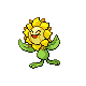 Imagen de Sunflora macho o hembra en Pokémon Diamante y Perla