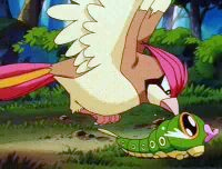 Caterpie siendo atacado por el Pidgeotto de Ash cuando era salvaje.