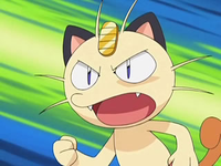 Archivo:EP572 Meowth (3).png