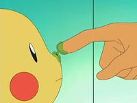 Archivo:EP524 Brock le unta a Pikachu la infusión en la nariz.png