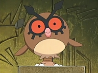 Archivo:EP455 Hoothoot.png