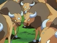 Archivo:EP033 Tauros.png