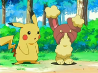 Archivo:EP478 Pikachu con Buneary.png