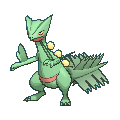 Sceptile XY.png