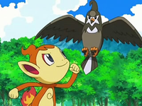 Archivo:EP544 Chimchar y Staravia.png