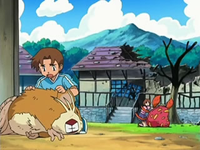 Archivo:EP525 Personas de la aldea con sus Pokémon heridos.png