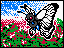 TCG2 Butterfree nivel 28.png