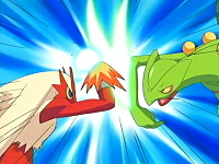 Blaziken vs. Sceptile.