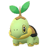 Turtwig GO.png