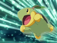 Archivo:EP569 Turtwig.png