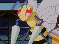 Archivo:EP163 Beedrill (3).png
