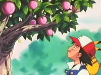 Ash observando los bonguris rosas.