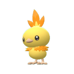 Torchic