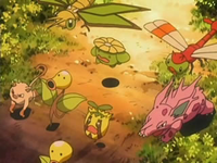 Archivo:EP540 Pokémon huyendo del bosque (2).png