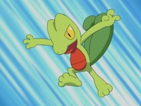 Archivo:EP297 Treecko (3).jpg - WikiDex, la enciclopedia Pokémon