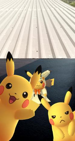 Archivo:Pikachu clon en la instantanea.jpg