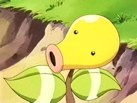 Bellsprout de Zackie