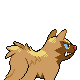 Imagen posterior de Poochyena variocolor en Pokémon Oro HeartGold y Pokémon Plata SoulSilver