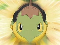 Archivo:EP554 Turtwig.png