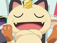 Archivo:EP561 Meowth.png