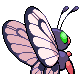 Imagen posterior de Butterfree variocolor hembra en Pokémon Oro HeartGold y Pokémon Plata SoulSilver