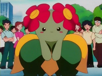 Archivo:EP124 Bellossom (4).png