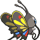 Imagen posterior de Beautifly hembra en Pokémon Diamante y Pokémon Perla