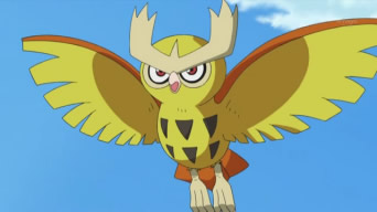 EP651 Noctowl.jpg