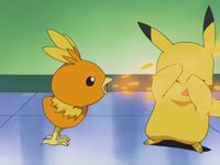 Torchic atacando al Pikachu de Ash.
