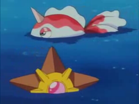 Archivo:EP170 Staryu y Goldeen.png