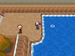 Archivo:Sombra de los Pokémon en el agua.png