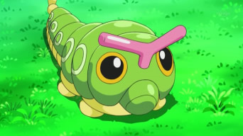 Archivo:EP792 Caterpie (2).png