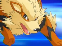 Archivo:EP430 Arcanine (2).png