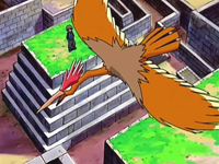 Archivo:EP515 Fearow.png