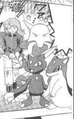 Archivo:GB09 Pokémon de Black.png