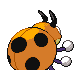 Imagen posterior de Ledyba variocolor macho en Pokémon Oro HeartGold y Pokémon Plata SoulSilver