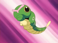 Archivo:EP193 Caterpie (3).png