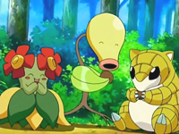 Archivo:EP497 Bellossom, Bellsprout y Sandshrew.png