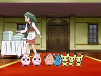 Azurill y los otros Pokémon observan como Swinub se come su comida.
