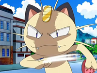 Archivo:EP572 Meowth tras usar golpes furia.png