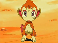 Archivo:EP521 Chimchar.png