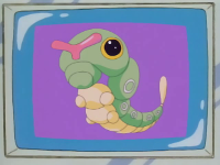 Archivo:EP056 Caterpie.png