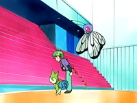 Archivo:EP464 Butterfree, Drew y Roselia.png
