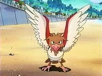 Archivo:EP086 Spearow del chaval.png
