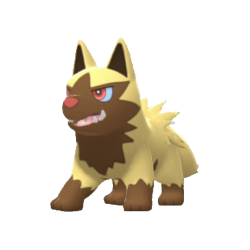 Poochyena