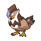 Imagen de Staraptor variocolor hembra en Pokémon Diamante y Pokémon Perla