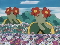 Archivo:EP182 Bellossom.png